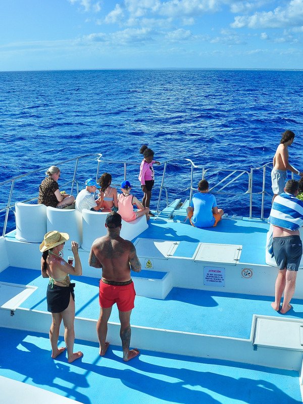 Isla Saona en Catamarán (Compartido)