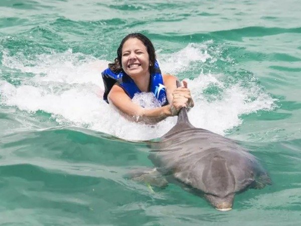 Explorer — Swim with 1 Dolphin