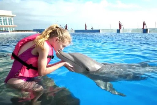 A multi-ethnic group of children on a field trip to a marine education park. They are standing waist deep in water with an animal trainer, interacting with a bottle-nosed dolphin. The trainer, a mid adult woman in her 30s, helps a 12 year old girl kiss the dolphin.