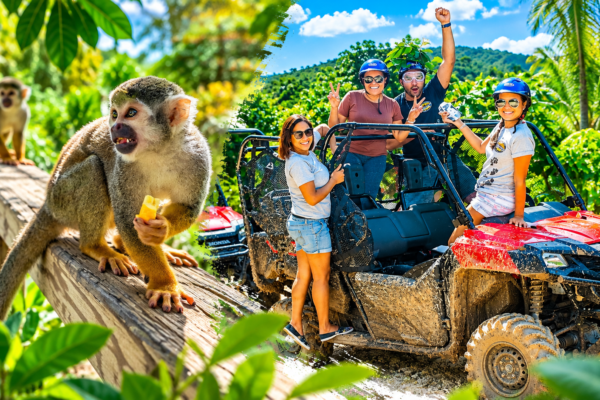 Monkeyland + Jungle Buggies