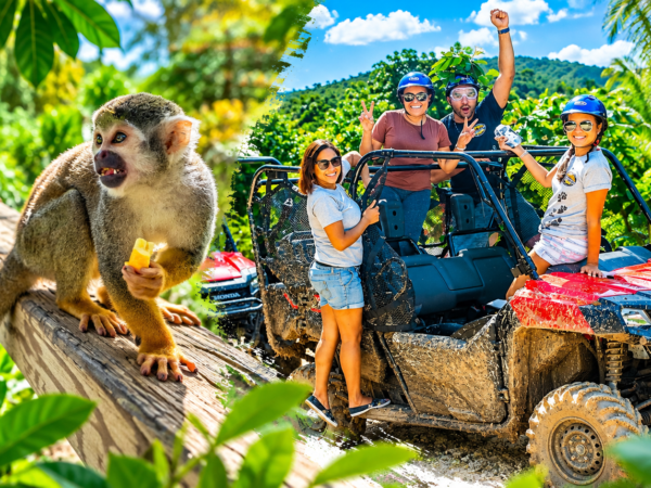 Monkeyland + Buggies en la Selva