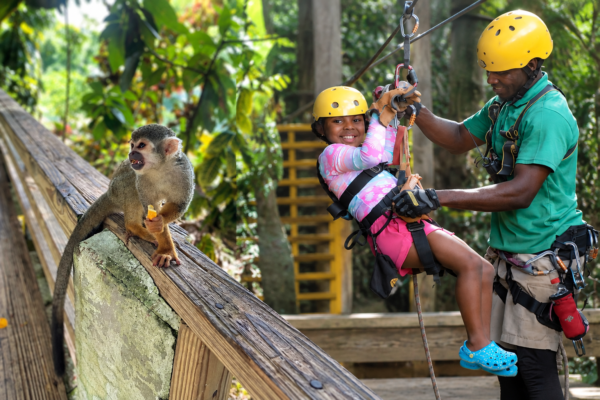 Monkeyland + Zipline