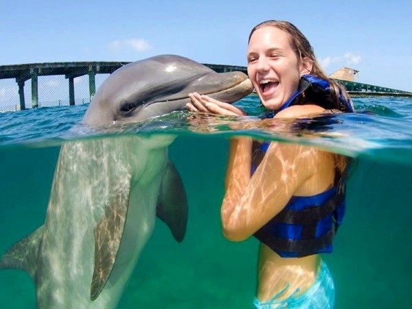 Dolphins Funtastic — Interaction
