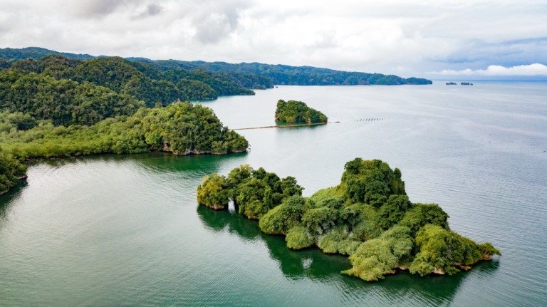 Los Haitises 3 en 1 — Parque + Salto de Yanigua + Round Mountain