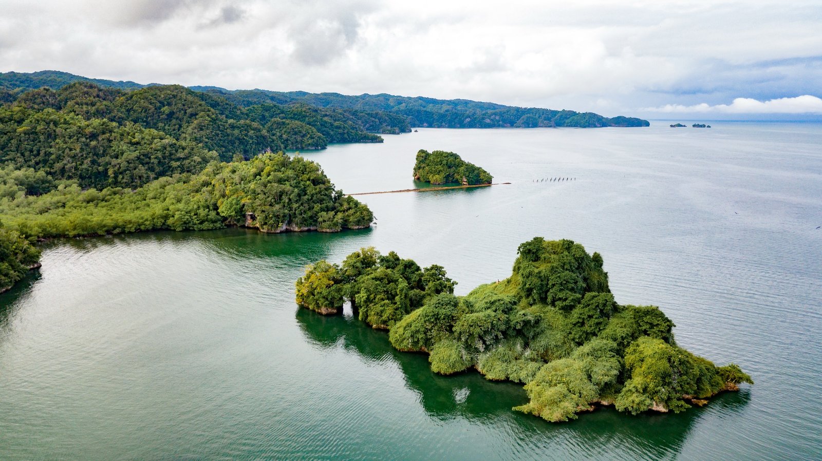Aerial view of the islets and mangroves in Los Haitises National Park