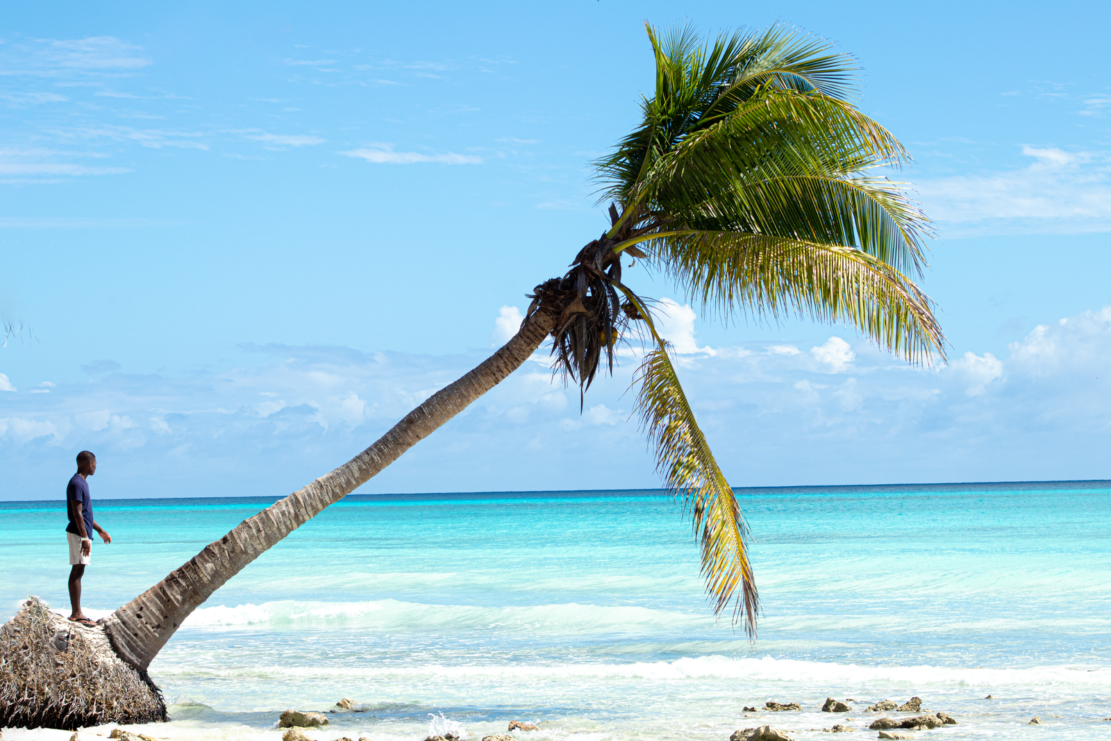 Tropical beach with palm trees in the Dominican Republic