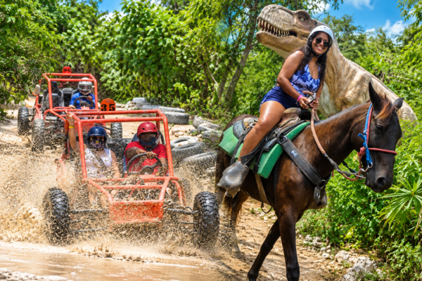 Horses + Buggies