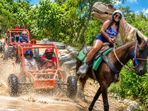 Horses + Buggies
