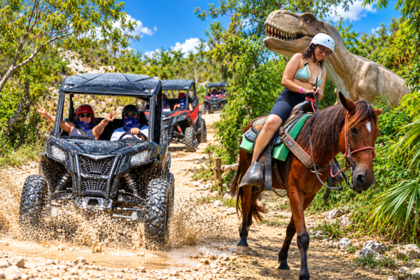 Polaris 4×4 + Horses