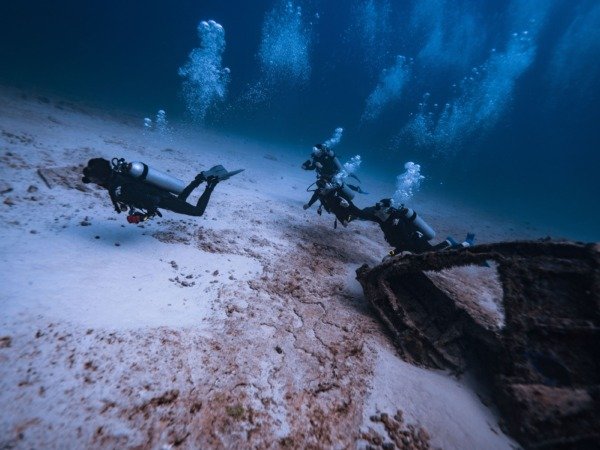 Isla Catalina — Dos Inmersiones