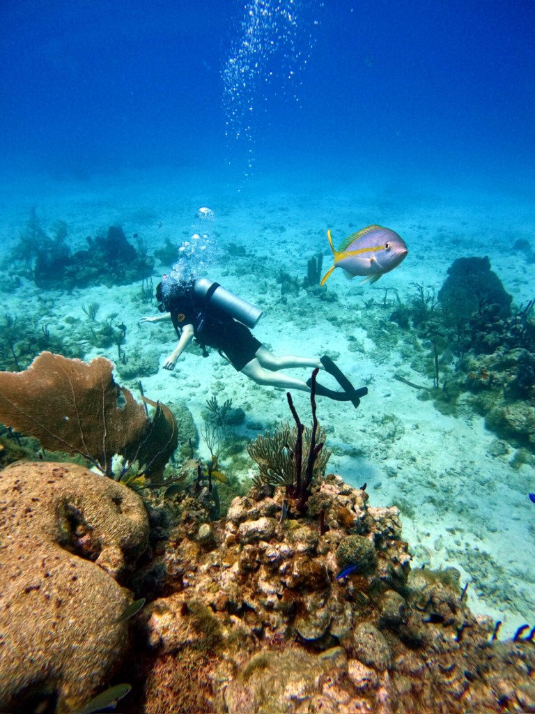 Buceador explorando la pared de arrecife cerca de Bayahibe