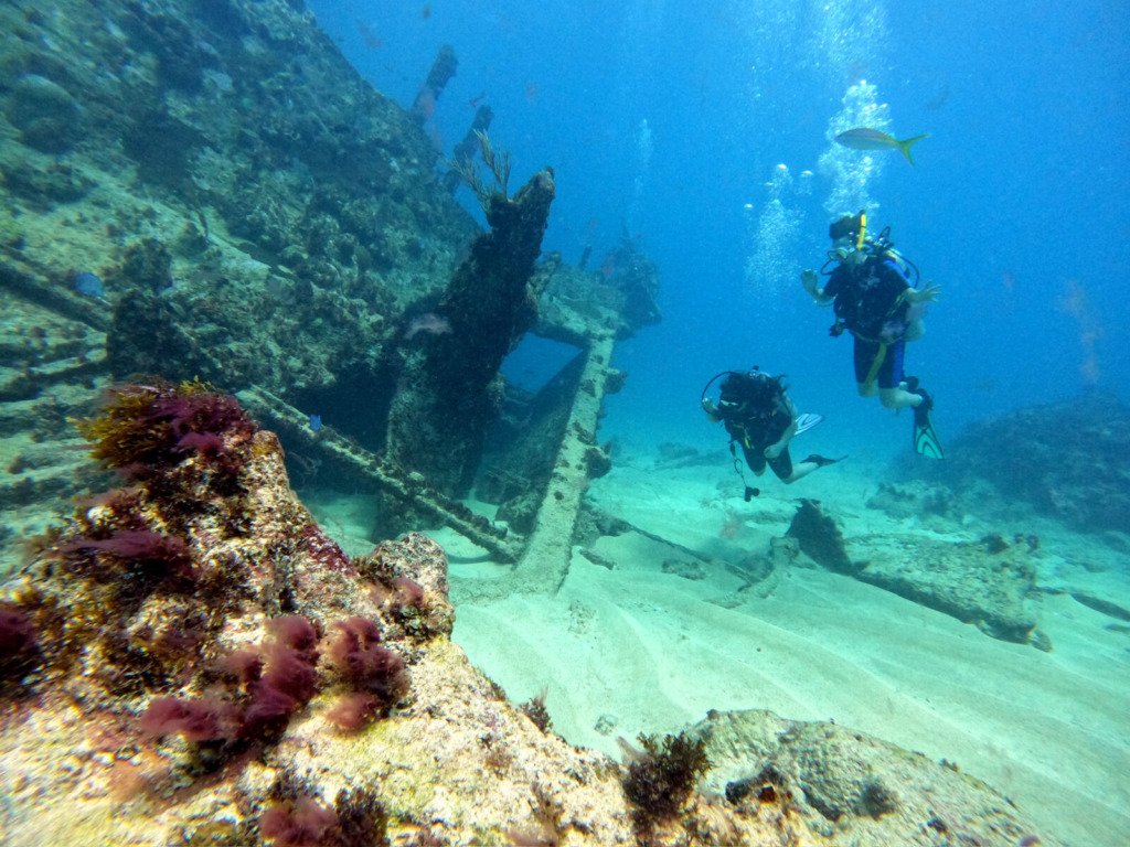 Buceadores explorando un naufragio cerca de Isla Catalina