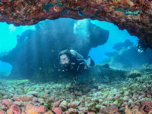 Certification PADI Open Water